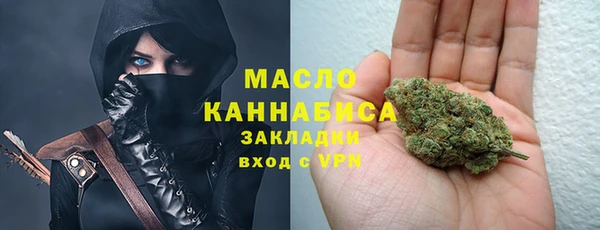 шишки Дубна