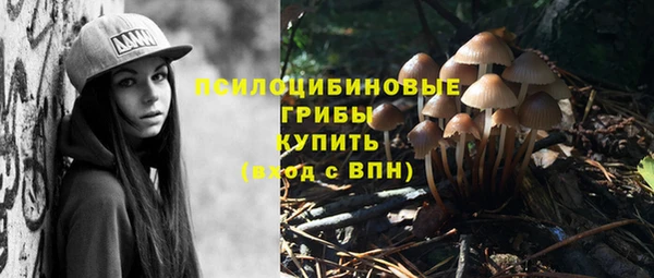 дмт Верея