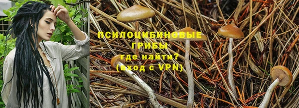 гашишное масло Бородино